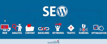 wordpress seo