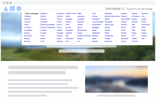 google translate website