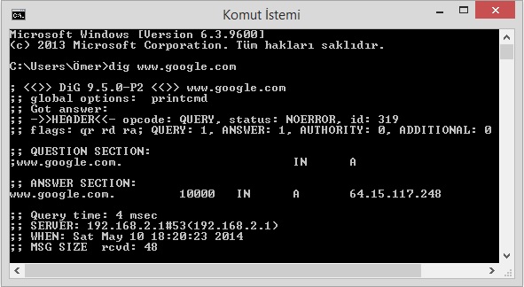 dig google